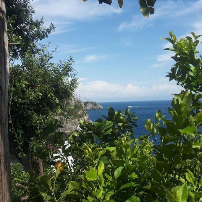 Villa Lena Conca dei Marini Exteriör bild